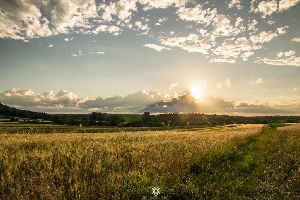 Agroturystyka Szumynowiny Majdan Sopocki ภายนอก รูปภาพ